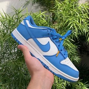 Nike Coast Dunk Low